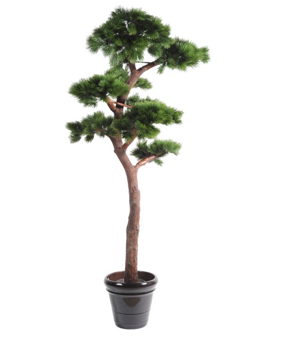 Kunstlik BONSAI MÄND UV
