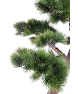 Artificial BONSAI PINE UV