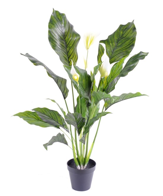 Kunstlik SPATHIPHYLLUM (rahuliilia) plast 5 fl