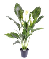 Kunstlik SPATHIPHYLLUM (rahuliilia) plast 5 fl