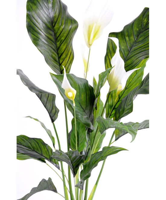 Kunstlik SPATHIPHYLLUM (rahuliilia) plast 5 fl