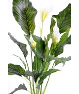 Kunstlik SPATHIPHYLLUM (rahuliilia) plast 5 fl