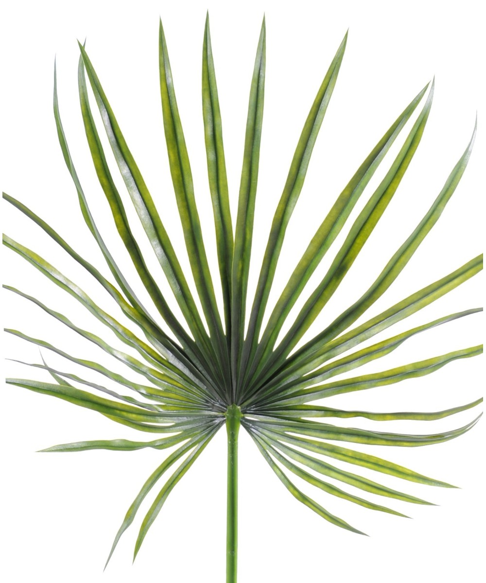 Kunstlik kaamera palm plast