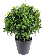 Artificial laurel PLAST BUSH