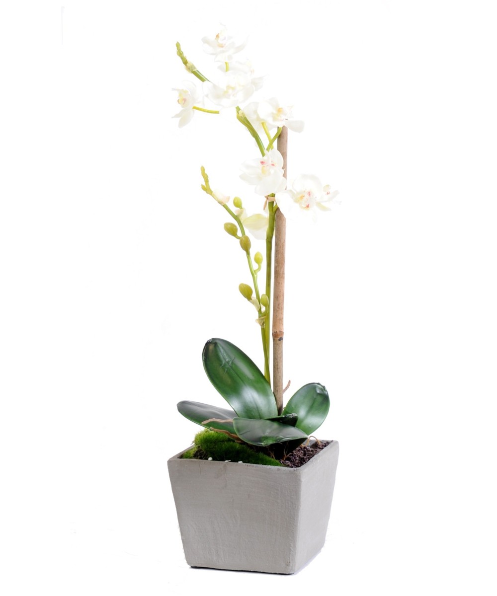 Artificial PHALAENOPSIS ORCHID POT grey