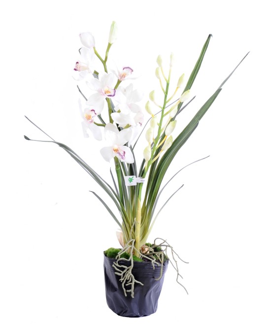 Kunstlik tsümbiidium TAIM 80 CM