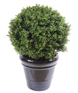 Artificial Boxwood BALL NEW
