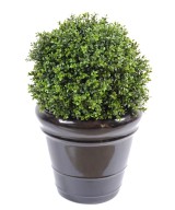 Kunstpukspuu pall, uus, UV-kindel
