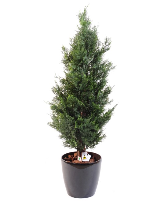 Artificial LAWSON CYPRESS UV RESISTANT CHAMAECYPARIS