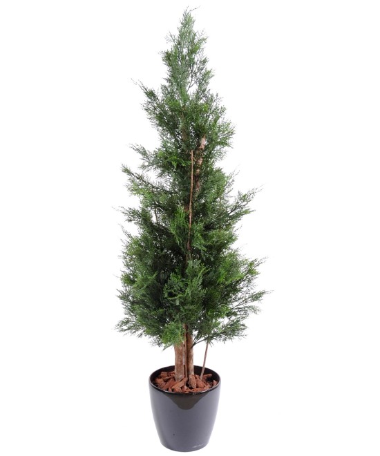 Kunstlik LAWSON CYPRESS UV-KINDEL CHAMAECYPARIS