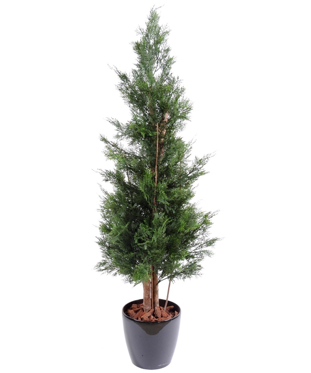 Artificial LAWSON CYPRESS UV RESISTANT CHAMAECYPARIS