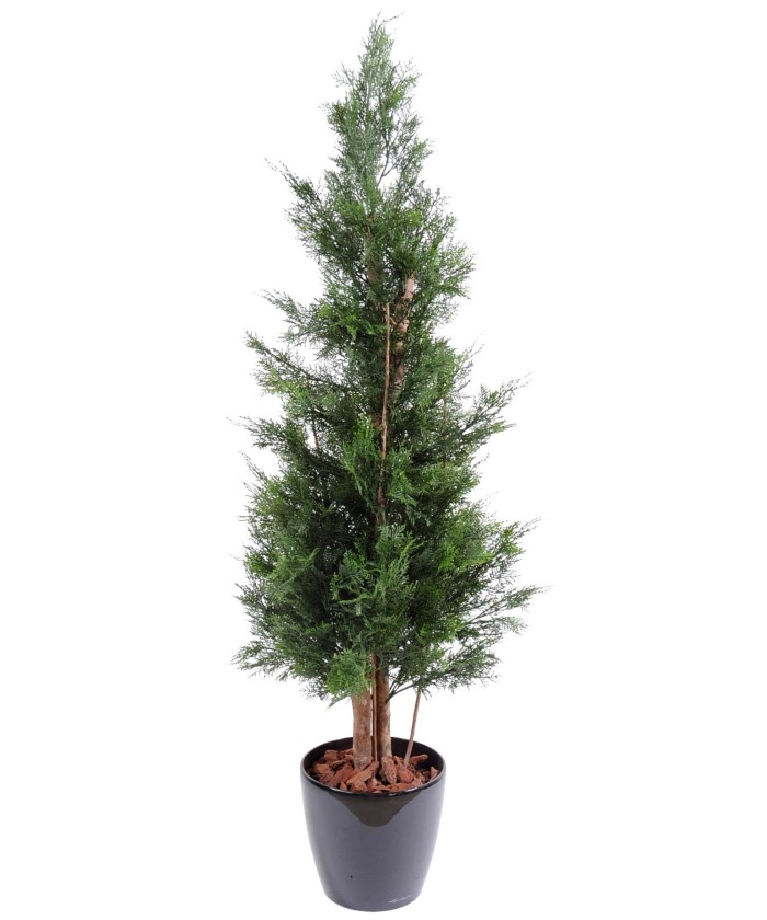 Kunstlik LAWSON CYPRESS UV-KINDEL CHAMAECYPARIS