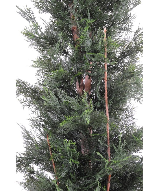 Kunstlik LAWSON CYPRESS UV-KINDEL CHAMAECYPARIS