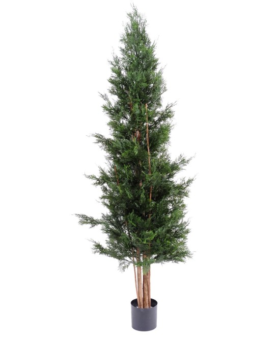 Kunstlik LAWSON CYPRESS UV-KINDEL CHAMAECYPARIS
