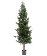Artificial LAWSON CYPRESS UV RESISTANT CHAMAECYPARIS