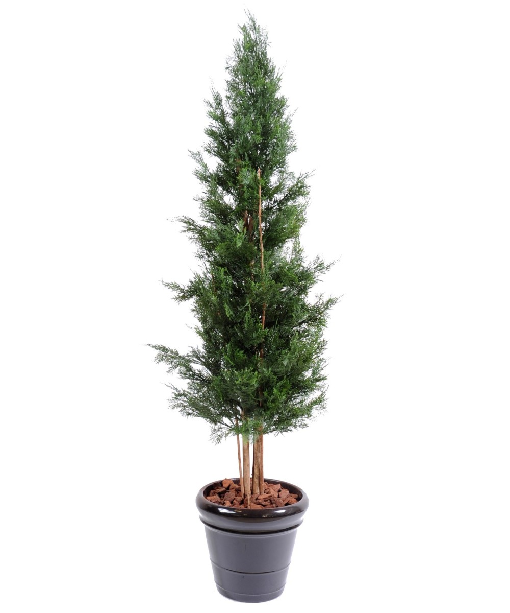 Kunstlik LAWSON CYPRESS UV-KINDEL CHAMAECYPARIS