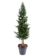 Artificial LAWSON CYPRESS UV RESISTANT CHAMAECYPARIS