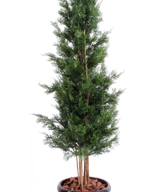 Artificial LAWSON CYPRESS UV RESISTANT CHAMAECYPARIS