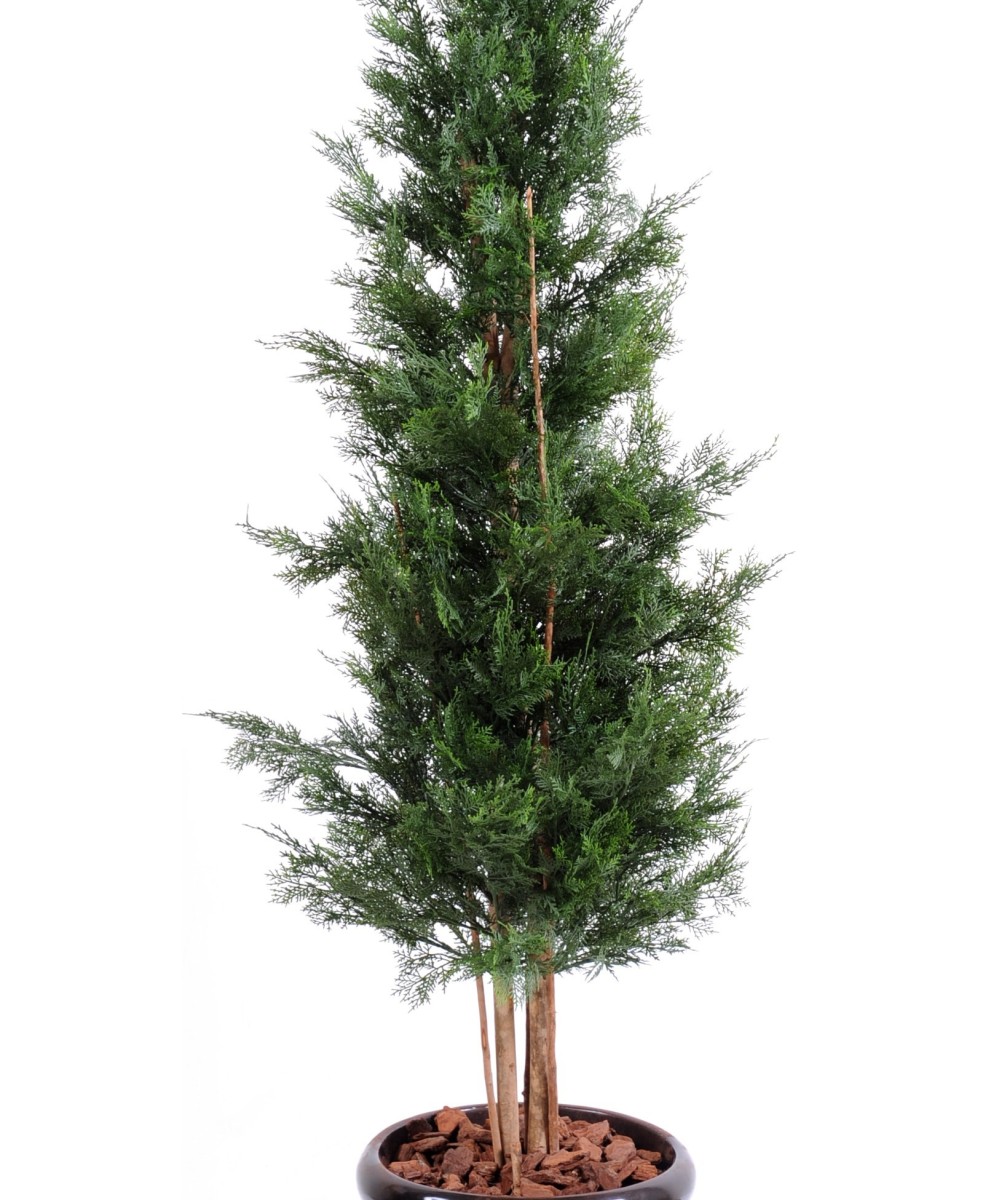 Kunstlik LAWSON CYPRESS UV-KINDEL CHAMAECYPARIS