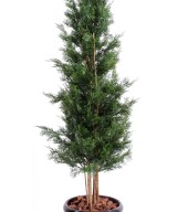Artificial LAWSON CYPRESS UV RESISTANT CHAMAECYPARIS