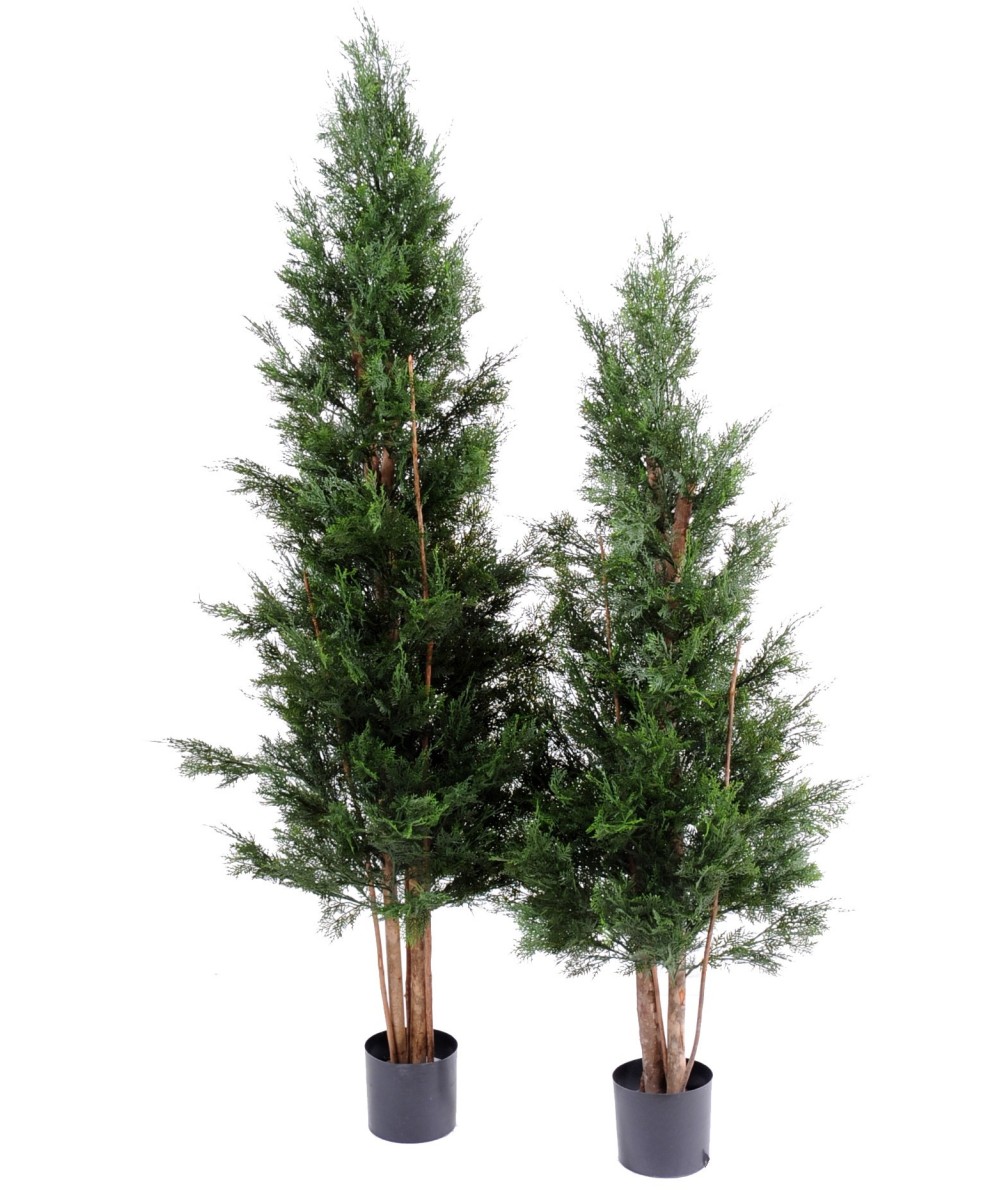 Kunstlik LAWSON CYPRESS UV-KINDEL CHAMAECYPARIS