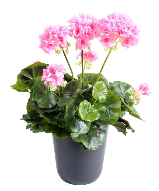 Kunstlik geraanium *52