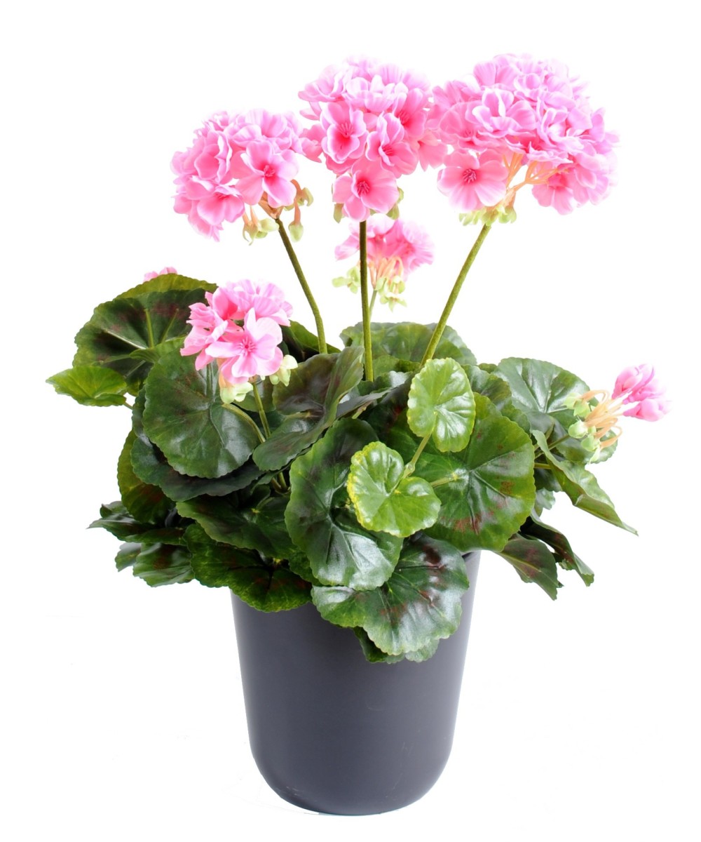 Artificial geranium *52