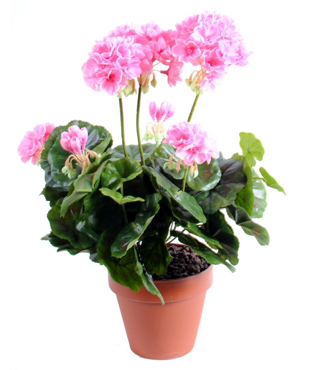 Artificial geranium *52