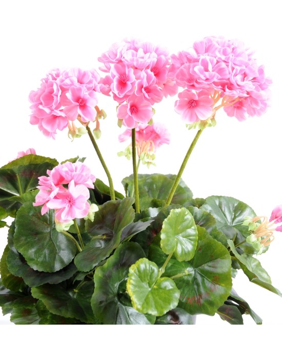 Artificial geranium *52