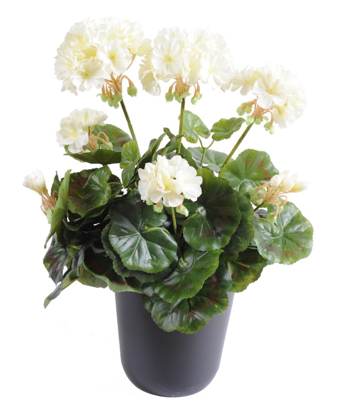 Kunstlik geraanium *52