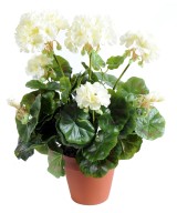 Kunstlik geraanium *52