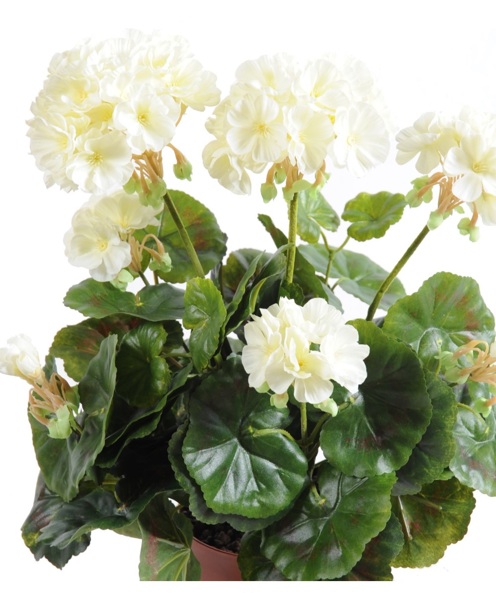 Kunstlik geraanium *52