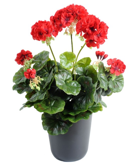 Artificial geranium *52