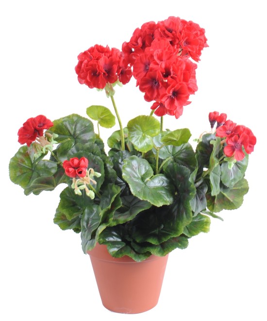 Artificial geranium *52