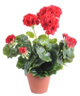 Artificial geranium *52