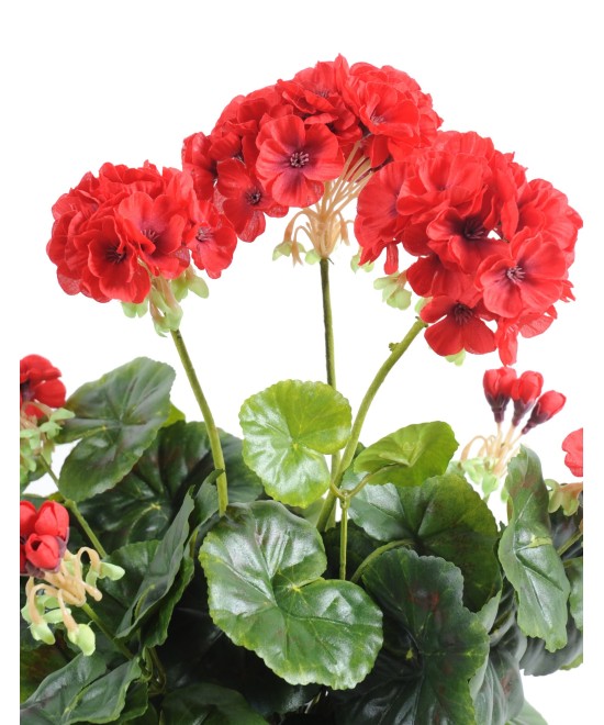 Artificial geranium *52