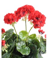 Artificial geranium *52
