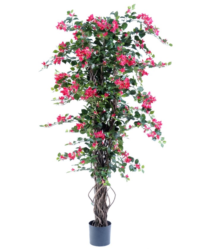 Kunstlik bugenvillea uus ronitaim