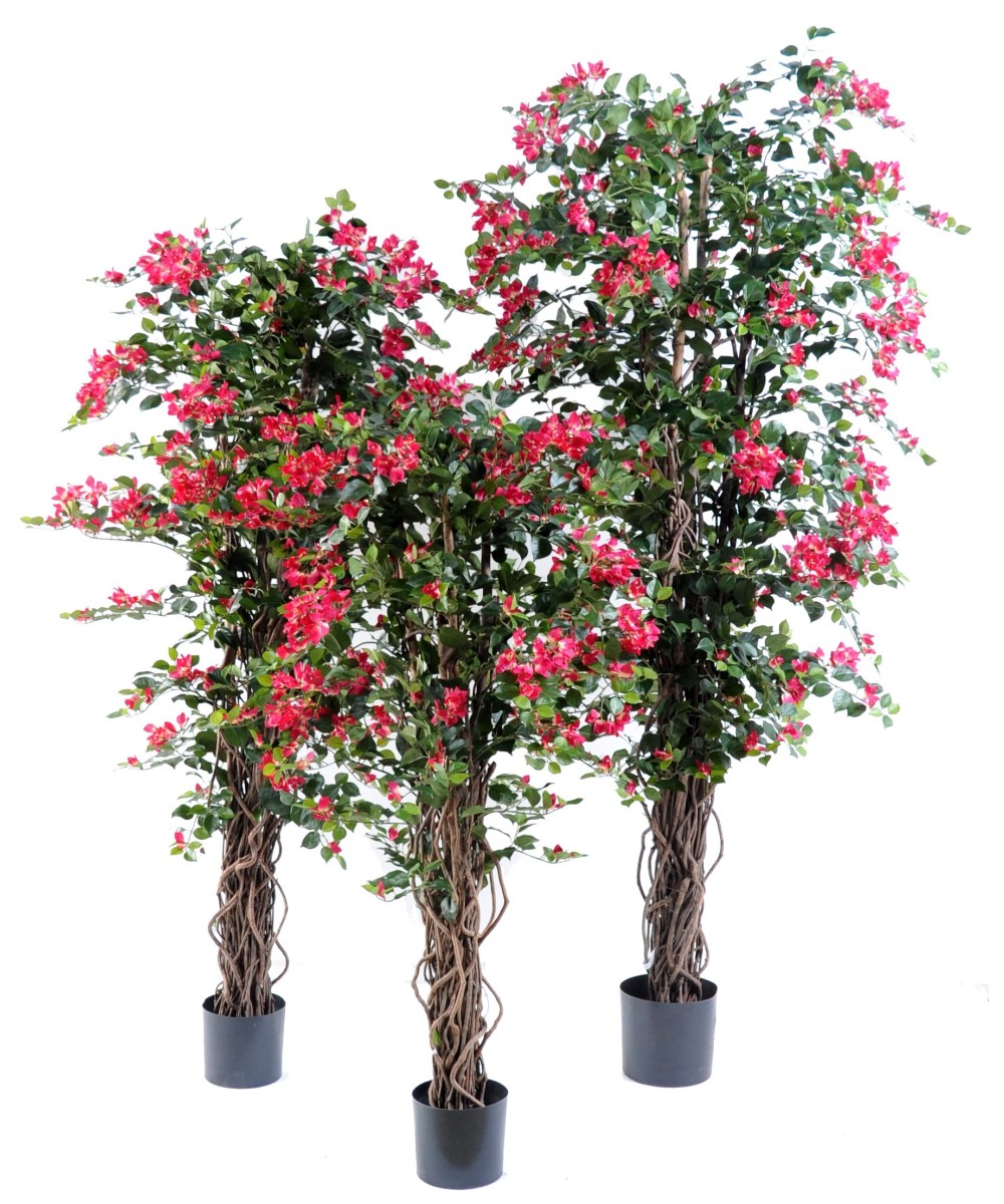 Kunstlik bugenvillea uus ronitaim