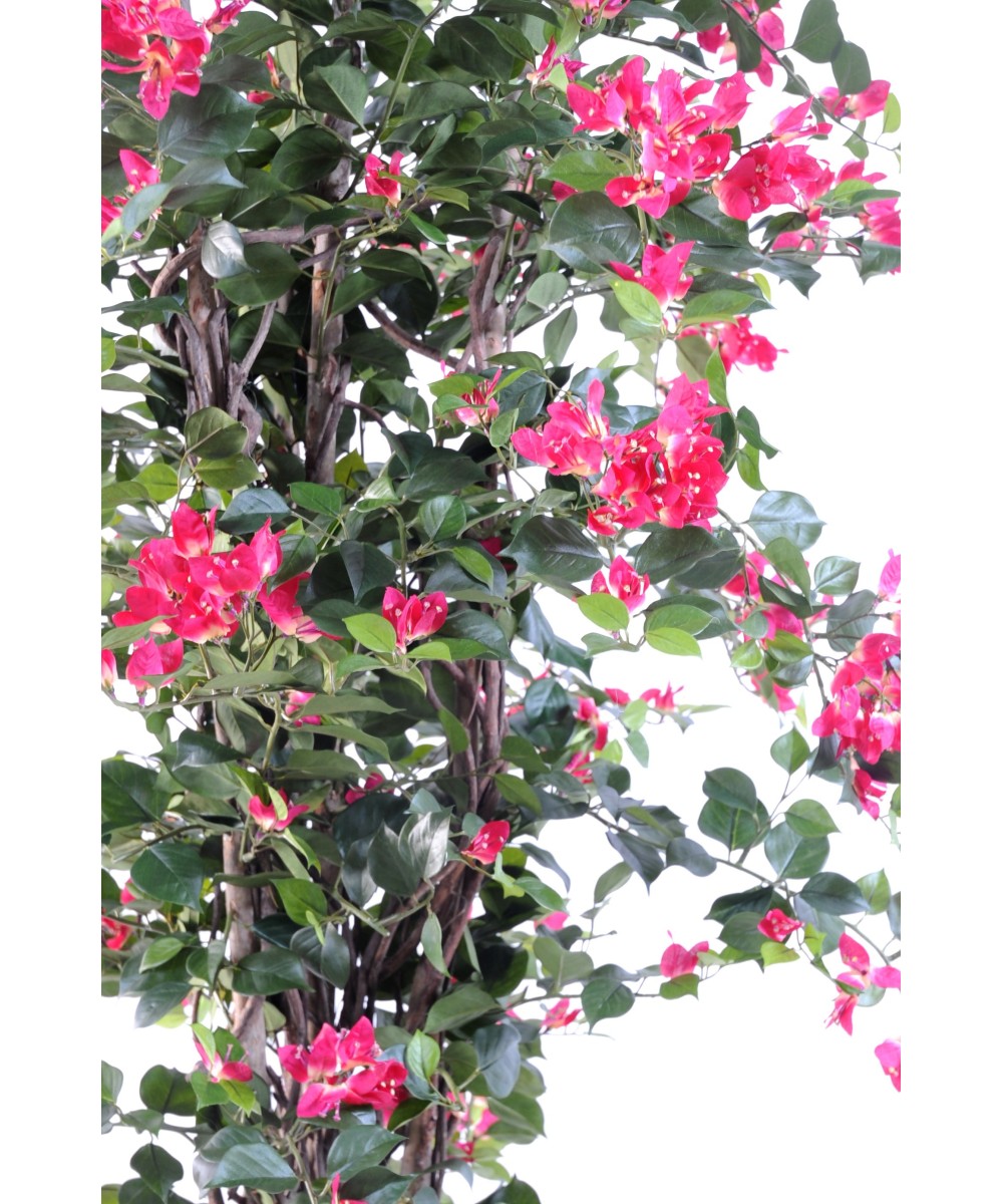 Kunstlik bugenvillea uus ronitaim
