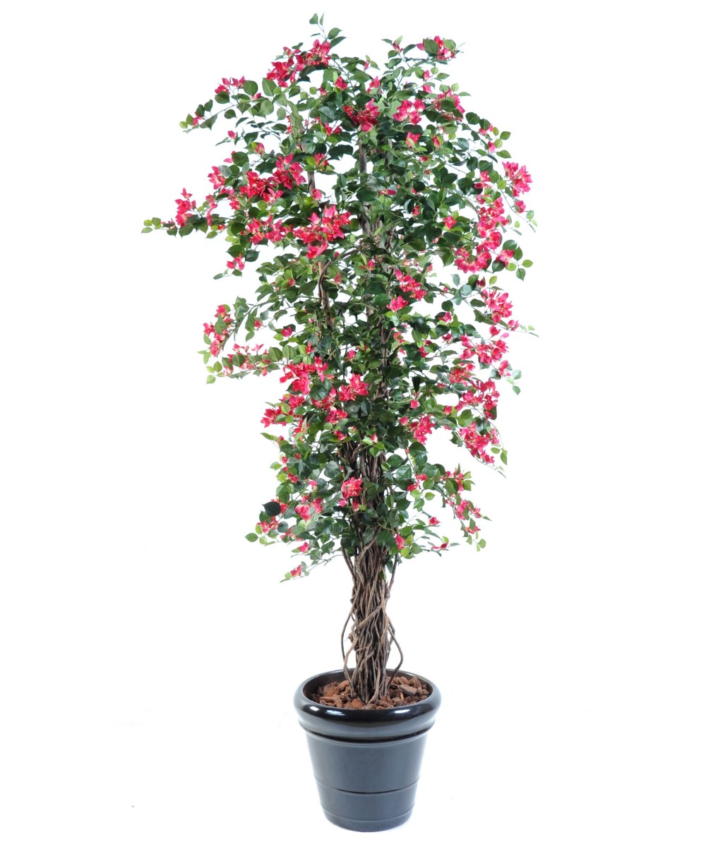 Kunstlik bugenvillea uus ronitaim
