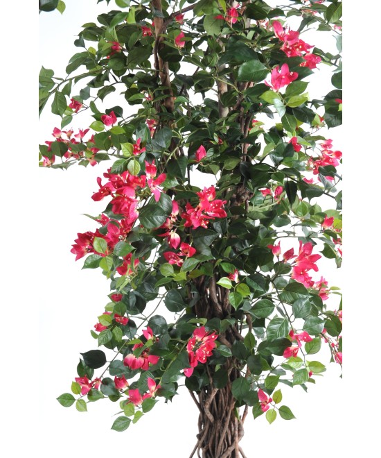 Kunstlik bugenvillea uus ronitaim
