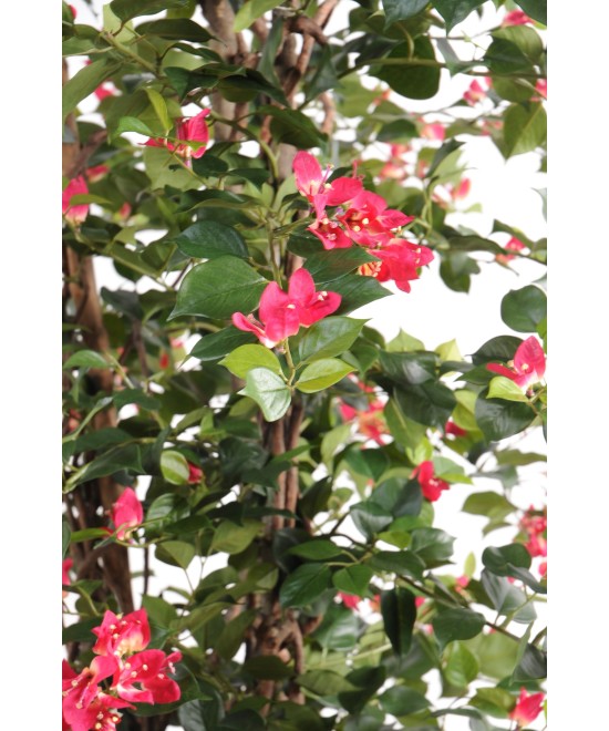 Artificial bougainvillea NEW CREEPERS