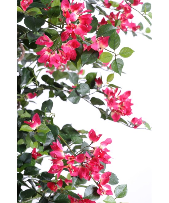 Kunstlik bugenvillea uus ronitaim