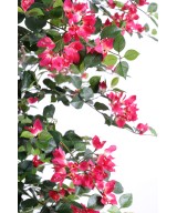 Artificial bougainvillea NEW CREEPERS
