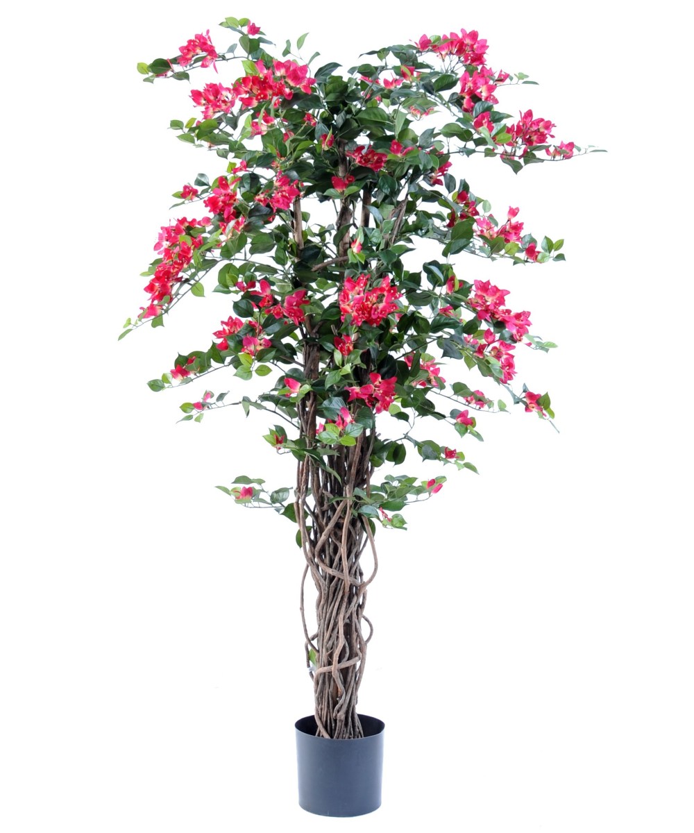 Kunstlik bugenvillea uus ronitaim