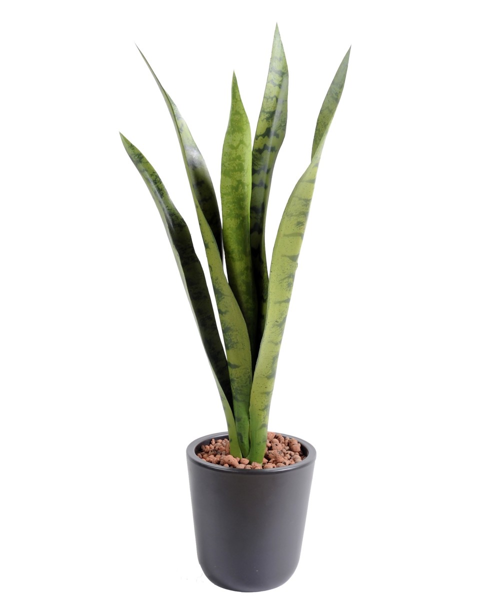 Artificial Sansevieria BUSH MM