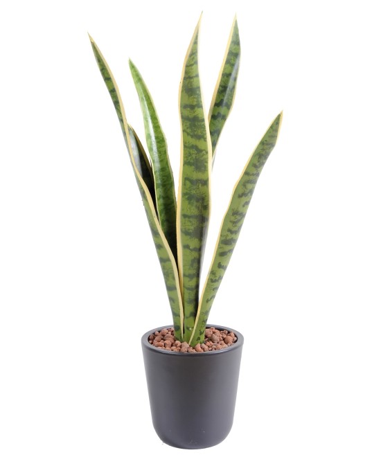 Artificial Sansevieria BUSH MM