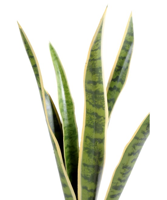 Artificial Sansevieria BUSH MM