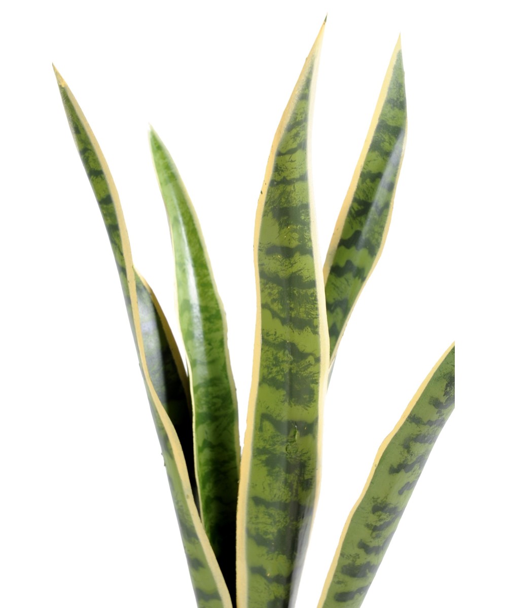 Artificial Sansevieria BUSH MM